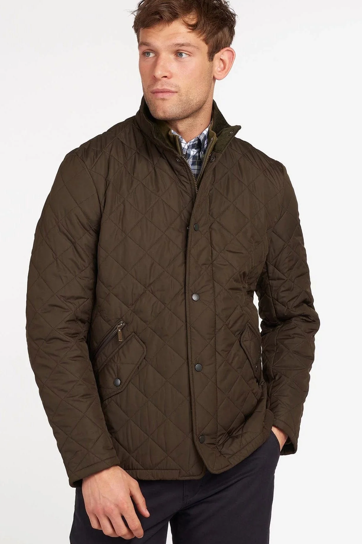 Chelsea Sportsquilt Jacket - Olive - Image 2