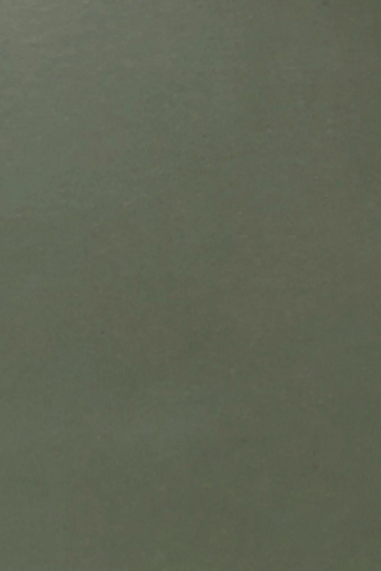 Nimbus Chelsea Wellington Boots - Olive - Image 6