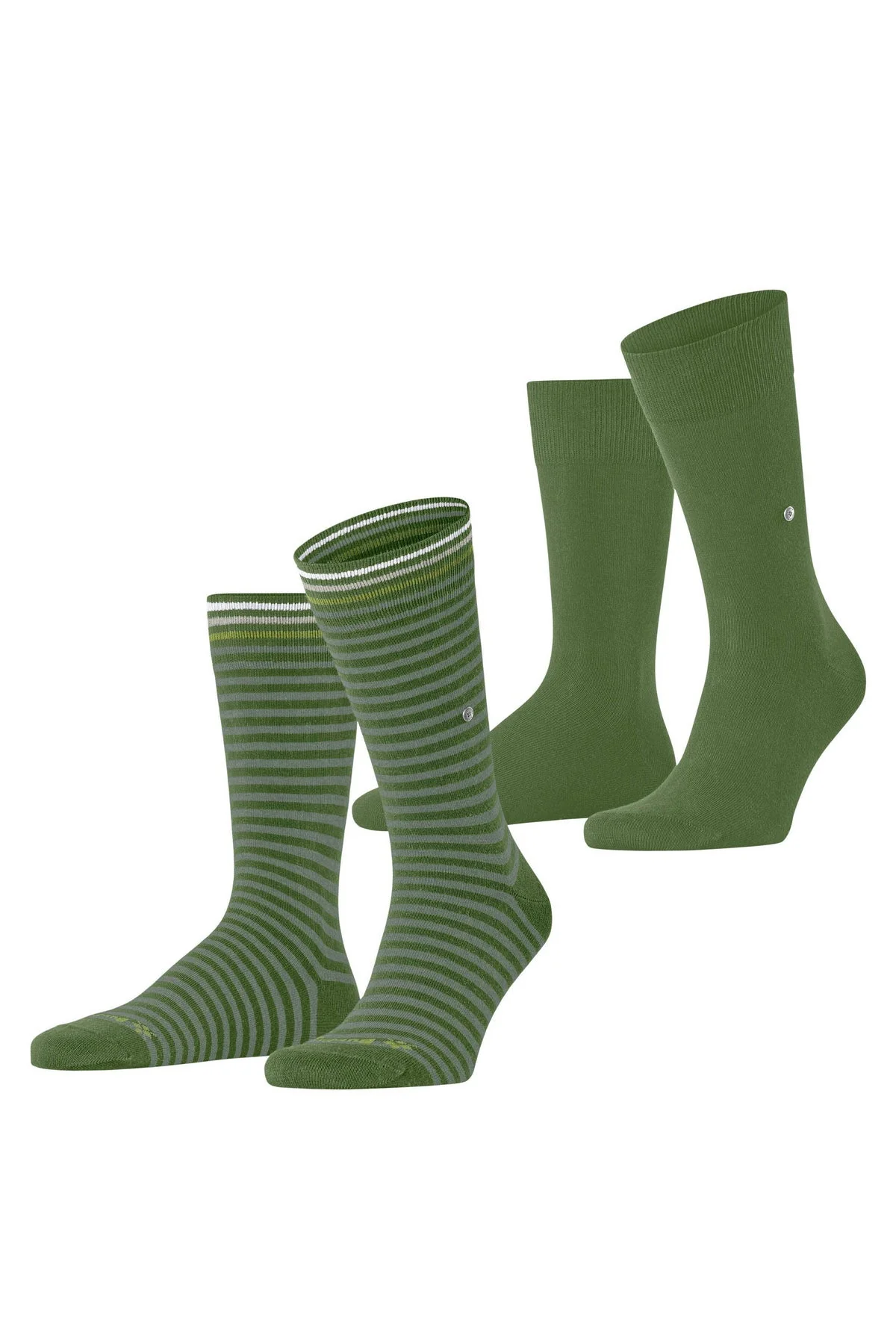 Everyday Stripe/Plain 2 Pack Socks - Fir Green