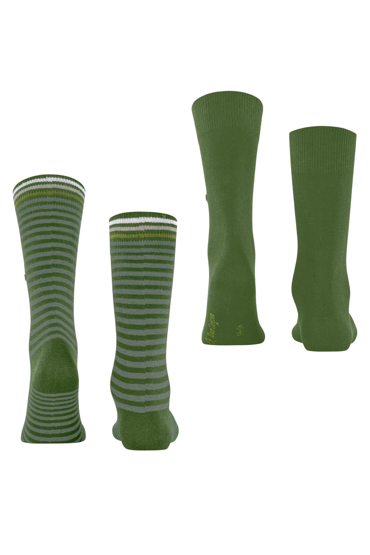 Everyday Stripe/Plain 2 Pack Socks - Fir Green - Image 3