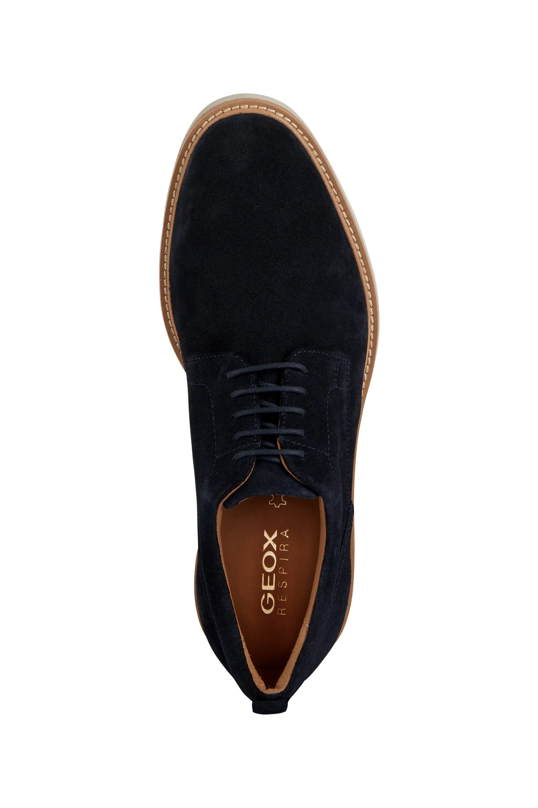 Mens Gubbio Suede Shoes - Navy - Image 5