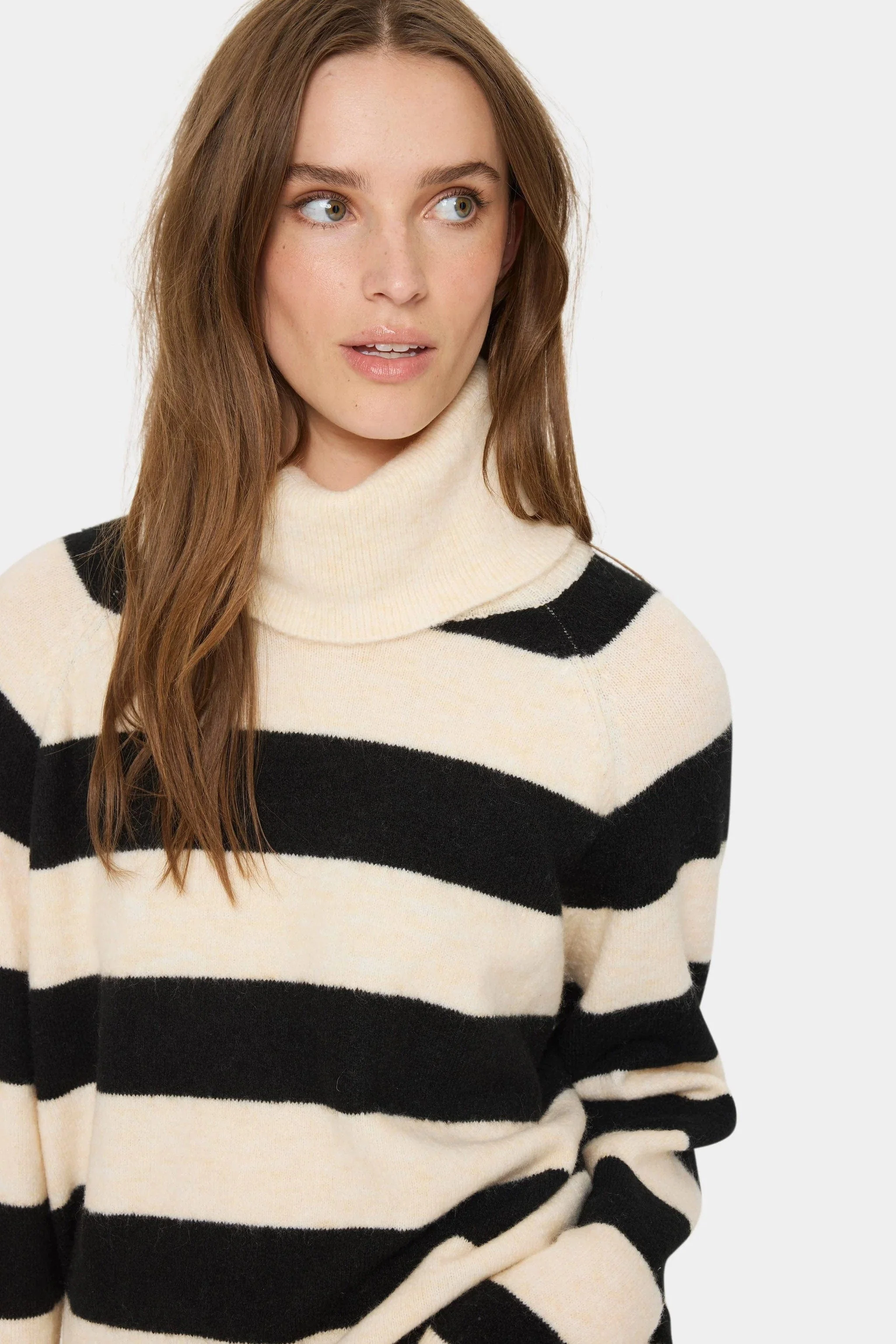 Garbie Rollneck Jumper - Ice Black Stripe - Image 4