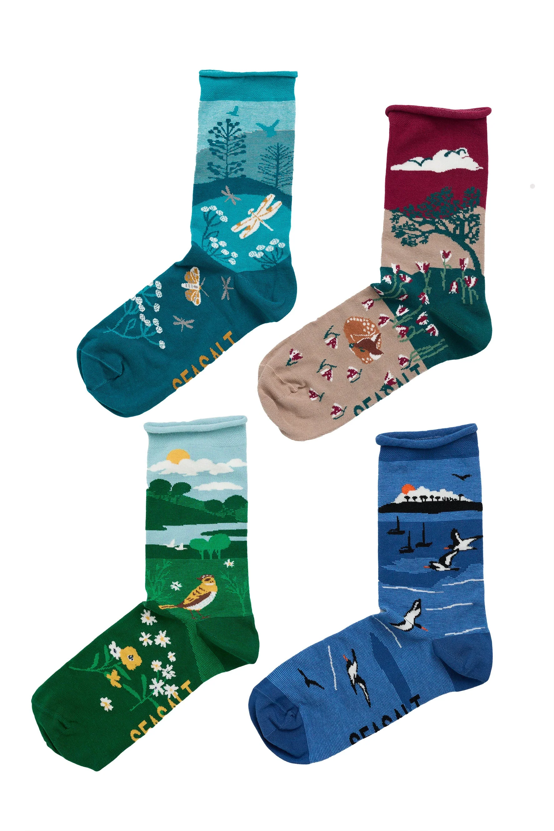 Organic Cotton Arty Socks Box of 4 Gift Box - Signpost Mix